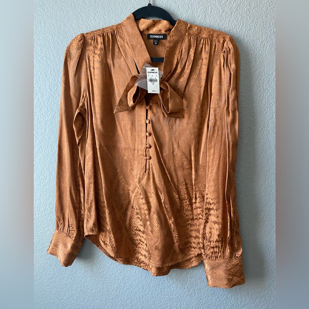 Express buttoned down blouse - Picture 2 of 8
